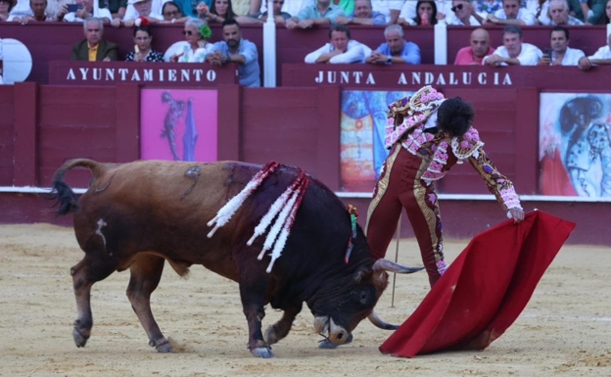 Roca Rey gana el Capote de Paseo a la mejor faena en Málaga Diario Sur